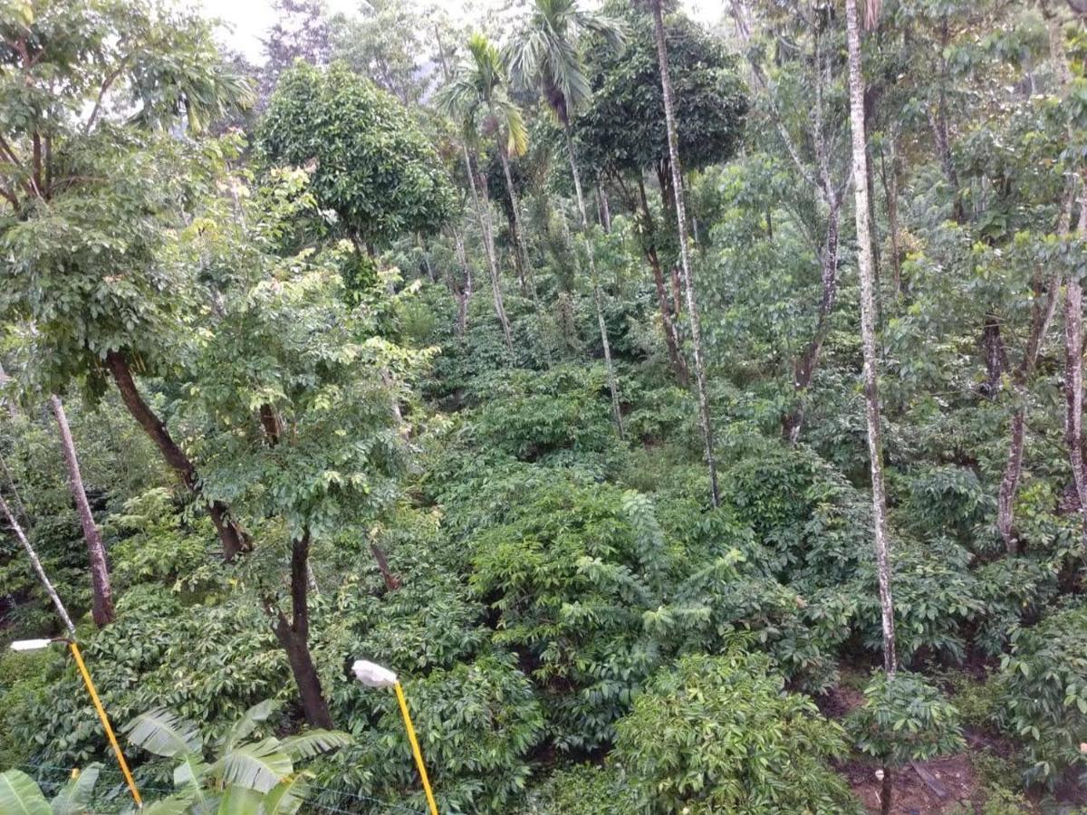 Wanders In Travel Company Madikeri Exterior foto
